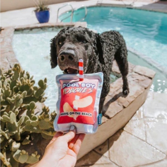 Pool Boy Pouch Summer Drink Squeaky Crinkle Bark Box Dog Toy - Picture 6 of 9